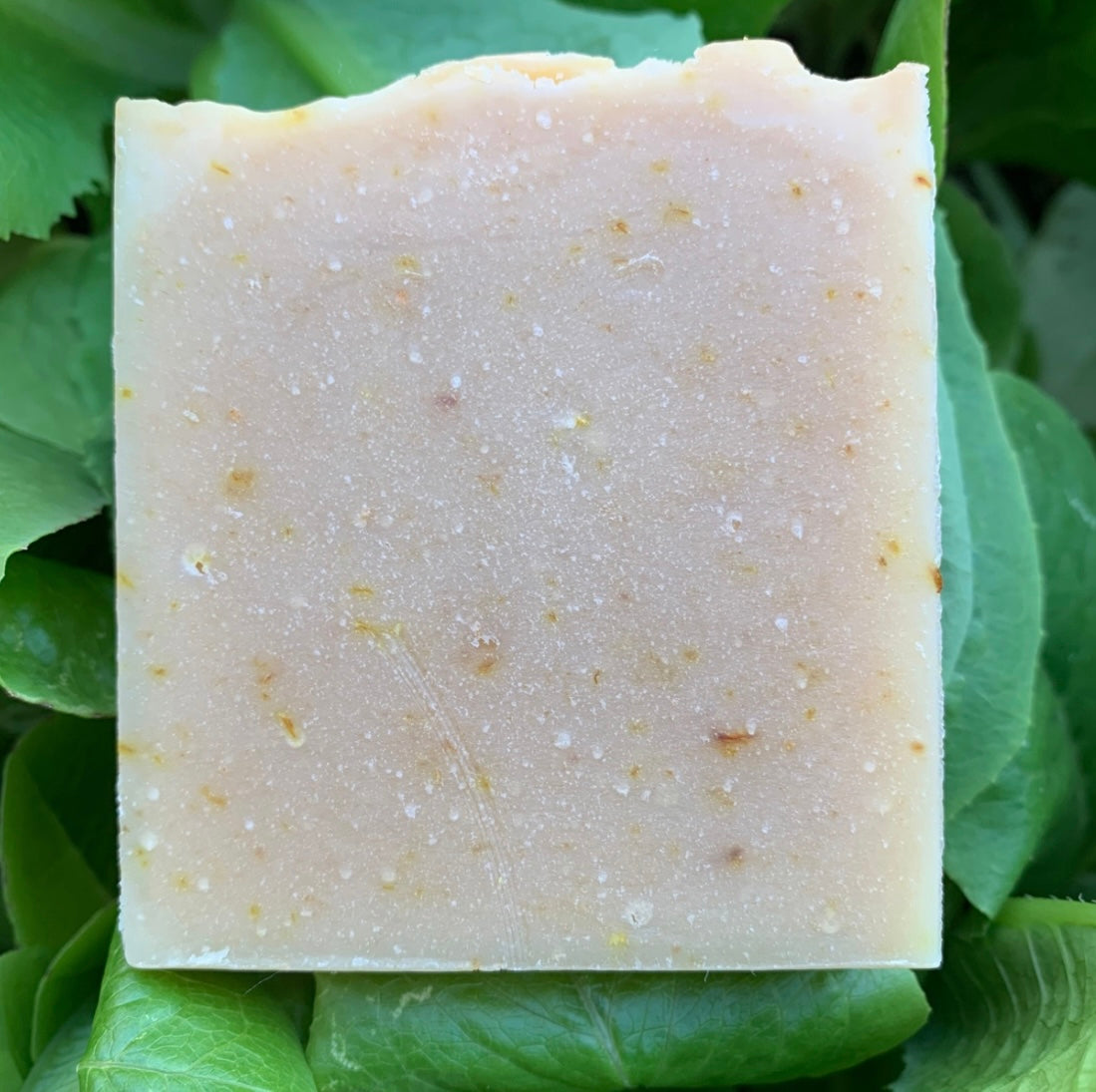 Bush Harvest Soap