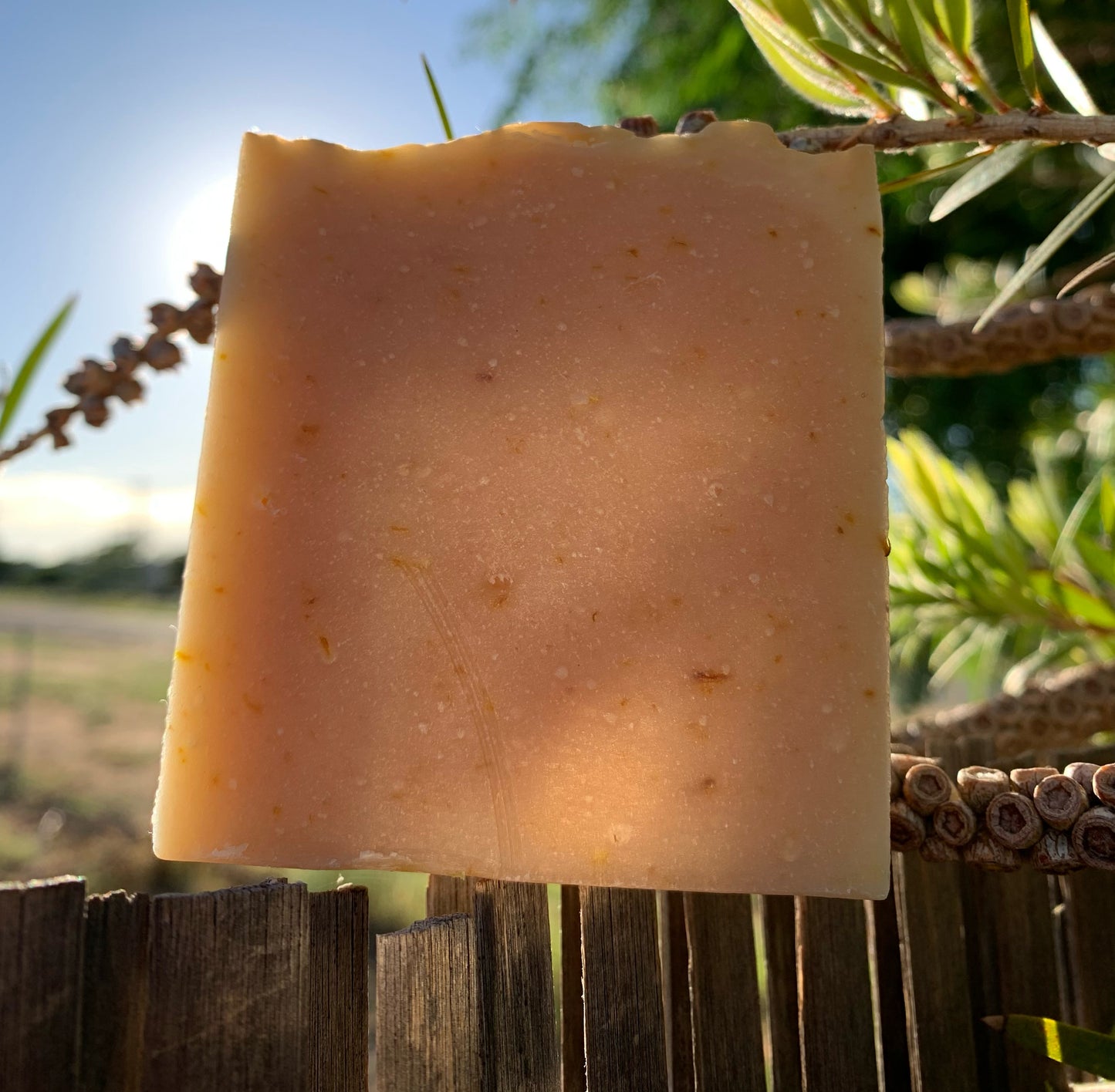 Bush Harvest Soap